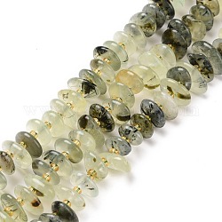 Natur Prehnit Perlen Stränge, Chip, 5~18x3~9x2~5 mm, Bohrung: 1 mm, ca. 67~69 Stk. / Strang, 15.55'' (39.5~40 cm)