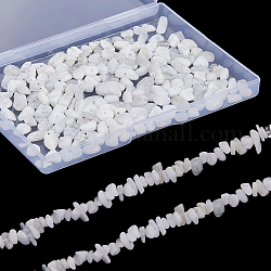 SUNNYCLUE 2 Strands Natural Rainbow Moonstone Chip Beads Strands, 5~8x5~8mm, Hole: 1mm, about 31.5 inch
