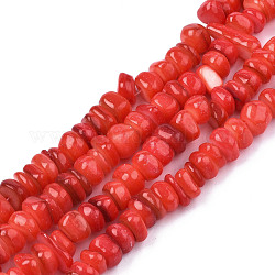 Chapelets de perles de coquille de trochid / trochus coquille, teinte, plat rond, tomate, 5~10x1~7mm, Trou: 1mm, Environ 94 pcs/chapelet, 14.96'' (38 cm)