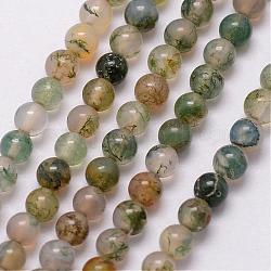Natural Moss Agate Bead Strands, Round, 3~3.5mm, Hole: 0.7mm, about 115~125pcs/strand, 16 inch