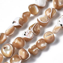 Chapelets de perles de coquille de trochid / trochus coquille, pépites, burlywood, 4~12x7~9x4~8mm, Trou: 0.7mm, Environ 50~54 pcs/chapelet, 15.35 pouce (39 cm)