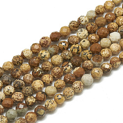 Natural Picture Jasper Beads Strands, Faceted, Round, 3~3.5mm, Hole: 0.3mm, about 113pcs/strand, 14.9 inch