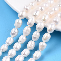 Natural Cultured Freshwater Pearl Beads Strands, Rice, Seashell Color, 8~10x6.8~7.5mm, Hole: 0.7~0.8mm, about 38~39pcs/strand, 13.98 inch(35.5cm)