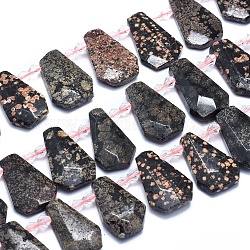 Naturschneeflocke Obsidian Perlen Stränge, oben gebohrte Perlen, facettiert, Träne, 25~33x15~22x5~7 mm, Bohrung: 1.2 mm, ca. 17~21 Stk. / Strang, 15.15 Zoll ~ 15.55 Zoll (38.5~39.5 cm)