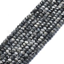 Natürliche Larvikit-Perlenstränge, facettiert, Rondell, 6x4 mm, Bohrung: 1 mm, ca. 85~90 Stk. / Strang, 15.55 Zoll (39.5 cm)