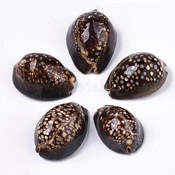 Perles de coquillage cauri naturelles, pas de trous / non percés, 60~90x40~60x25~45mm