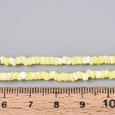 Нити бусин из натуральных трохоидных/трохус ракушек SSHEL-N040-21G-1