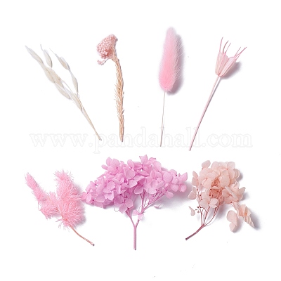 Сушеные цветы DIY-D052-09-1