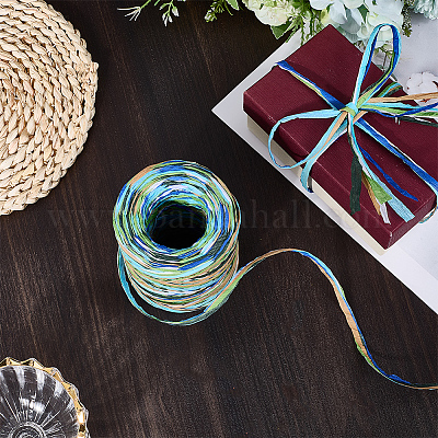 6 цвет шнуров из рафиевой бумаги OCOR-WH0063-110D-1