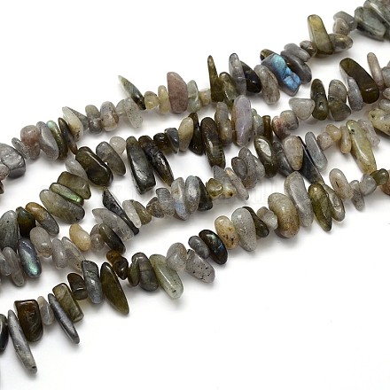 Labradorite Beads Strands G-O051-08-1