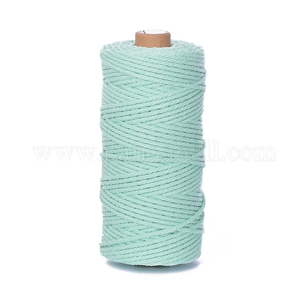 Круглый хлопковый плетеный шнур длиной 100 м. PW-WG54274-48-1