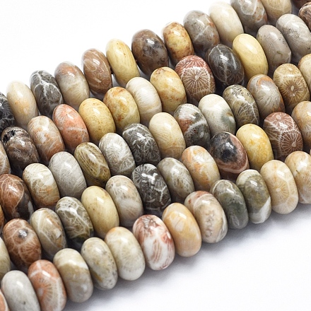 Natural Fossil Coral Beads Strands G-K256-10C-1