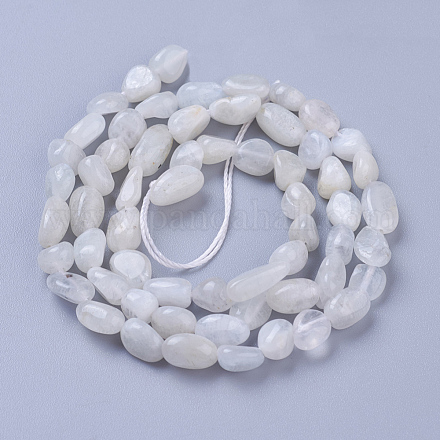 Natürlichen weißen Mondstein Perlen Stränge X-G-P433-16-1