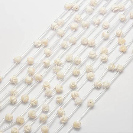 Natural Shell Beads GSHE-O001-B-01-1