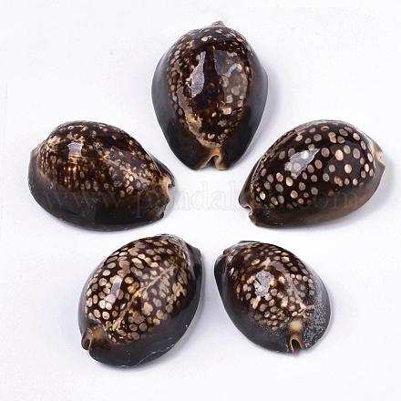 Natürliche Kaurimuschel Perlen SSHEL-Q298-19-1