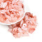 Transparent Acrylic Beads, Nuggets, Two Tone, Light Salmon, 11~21x7~12x6~8mm, Hole: 2mm, about 769pcs/500g