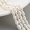 Natural Cultured Freshwater Pearl Beads Strands, Rice, Grade 3A+, Snow, 3~4mm, Hole: 0.5mm, about 26~39pcs/strand, 7.09''~7.28''(18~18.5cm)