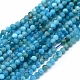 Chapelets de perles en apatite naturelle G-E411-36-2mm-01-1