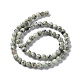 Chapelets de perles en jaspe sésame naturel / jaspe kiwi G-R345-6mm-12-3