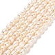 Natural Cultured Freshwater Pearl Beads Strands PEAR-E016-072-1