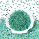 6/0 стеклянный бисер градиентного цвета SEED-N007-36C-2
