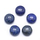 Natural Lapis Lazuli Cabochons X-G-P393-R11-10mm-1