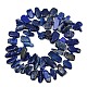 Natürlicher Lapislazuli Perlenstränge&nbsp;G-L657-E01-01-3