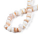Chapelets de perles de coquille de trochid / trochus coquille SHEL-S258-081-A01-4