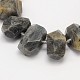 Natural Labradorite Nuggets Bead Strands G-M237-06-1