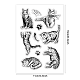 PHパンダホール 猫型クリアスタンプ  ラインセンス子猫ダイナミックシリコンスタンプカード作成フォトアルバムの装飾や DIY スクラップブッキング用透明ゴムスタンプ  4.33x6.3インチ DIY-WH0448-0152-2