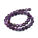 Natural Lepidolite/Purple Mica Stone Beads Strands G-F626-04-3