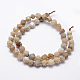 Natural Fossil Coral Beads Strands G-K209-02H-10mm-2