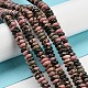 Natural Rhodonite Beads Strands G-Z030-A14-01-4