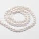 Chapelets de perles de coquille BSHE-L025-01-6mm-2