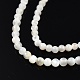 Fili di perline di conchiglia bianco naturale X-SSHEL-N003-144A-01-3
