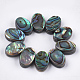 Abalone shell / paua shell beads SSHEL-T008-07-1