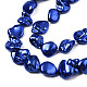 Perles de coquille d'eau douce naturelles galvanisées SHEL-N026-195A-3