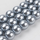 Shell Pearl Beads Strands BSHE-K011-14mm-MA736-1