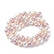 Cuentas perlas de concha de perla BSHE-L017-16-2