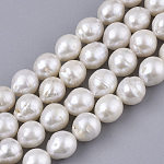 Fili di perle di keshi di perle barocche naturali, perla d'acqua dolce coltivata, tondo, colore conchiglia, 8~9x7.5~8.5mm, Foro: 0.6 mm, circa 45~50pcs/filo, 15.75 pollice (40 cm)