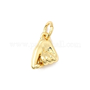 Латунь подвески KK-I364-09G-02