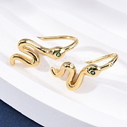 Серьги-подвески из латуни с микропаве из кубического циркония EJEW-G425-04G-02