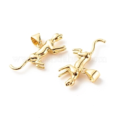 Латунные подвески KK-P208-13G-RS