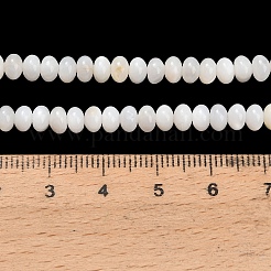 Natürlichen Süßwasser-Muschelperlen Stränge&nbsp;SHEL-C010-04B-02