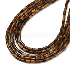 Природных тигровый глаз бисер нитей G-P600-B02-01
