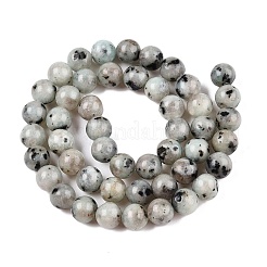 Натуральная нить из кунжутной яшмы / киви&nbsp;G-R345-8mm-36