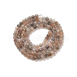 Нити из натуральных бусин из нескольких лунных камней G-B074-B08-02