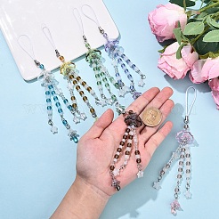 6 шт. 6 стиля прозрачного акрила со стеклянными ремешками для мобильного телефона&nbsp;HJEW-YW00198