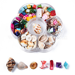 Натуральные пресноводные ракушки и бусины из морских ракушек SHEL-S278-038