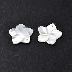 Подвески из натурального белого жемчуга SSHEL-G014-60